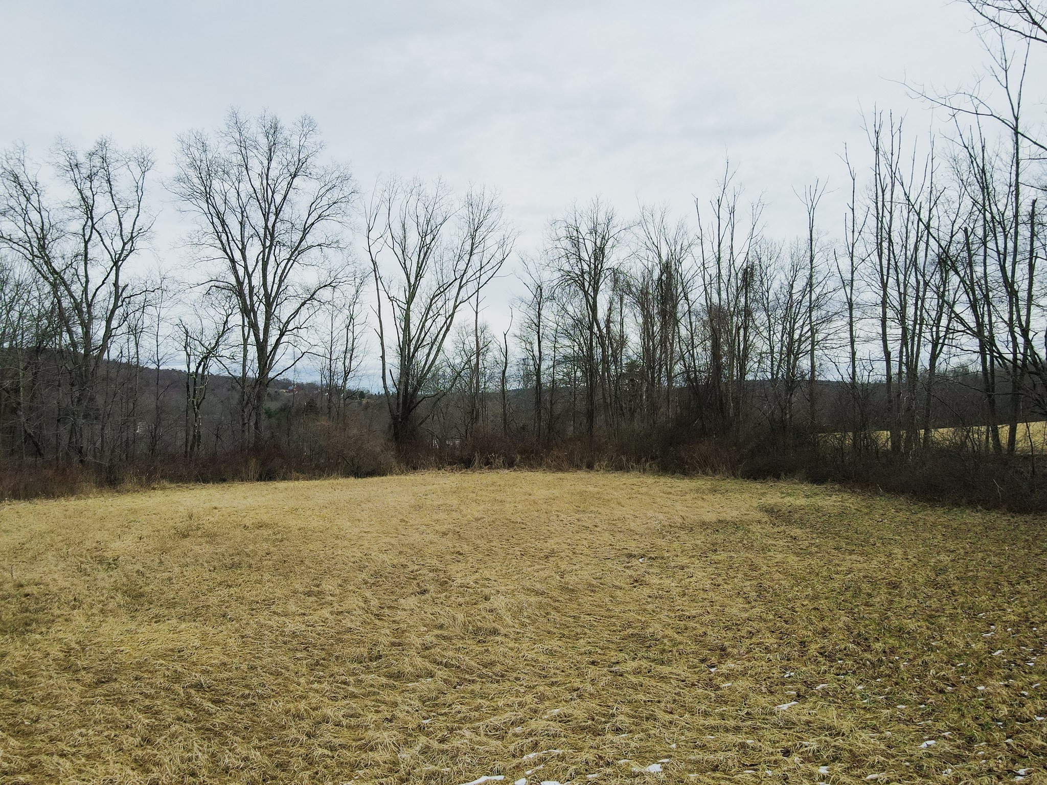 0 Goodfield Road Gilbertville, MA 01031 - Photo 3 of 7 Gallery Image 3