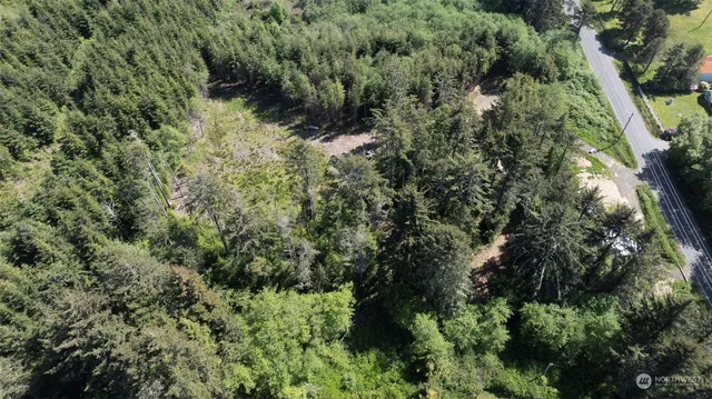 an aerial view of residential house with outdoor space and trees all around