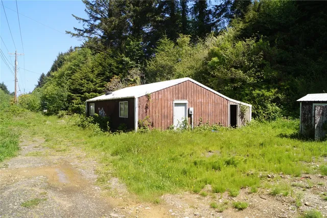 a backyard of a house with plants and large tree
