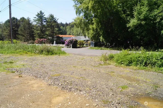 a view of a yard with car parked
