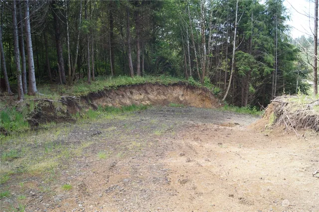 a view of a forest with trees in the background