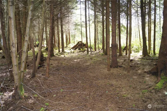 a view of outdoor space with street view