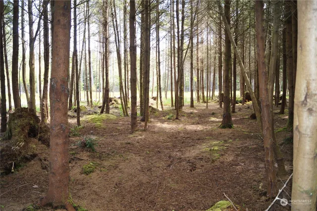 a view of outdoor space with sliding door and tree