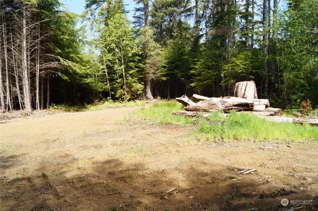 a swimming pool with trees in the background