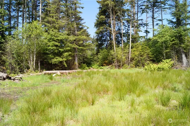 a view of swimming pool of the house and lake view
