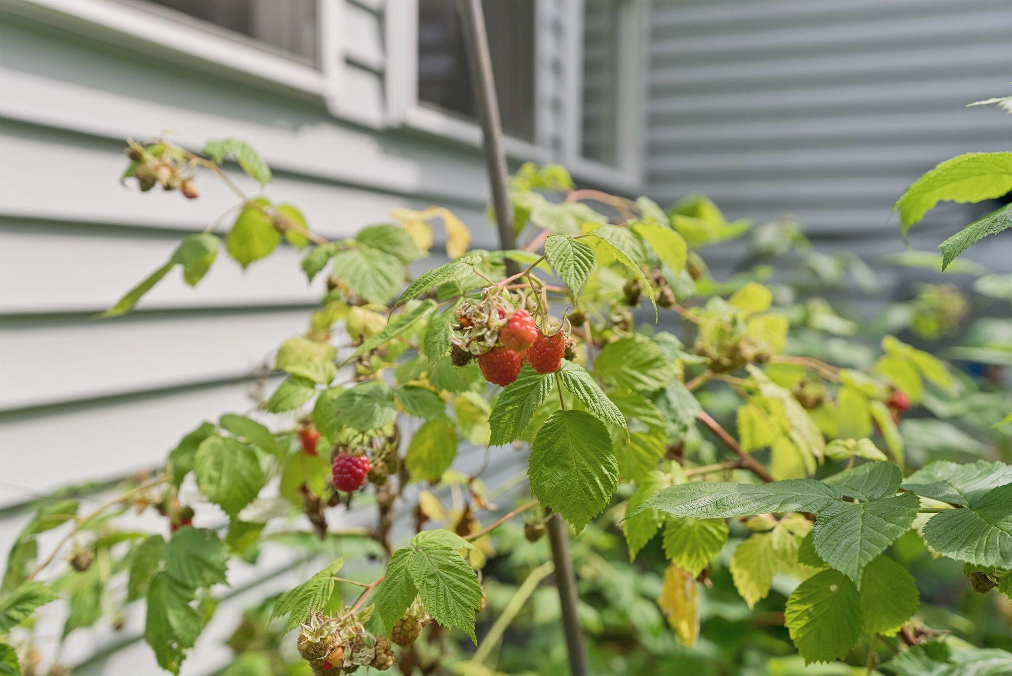 12 Jewell Street Brunswick, ME 04011 - Photo 79 of 86 23_DSC08864