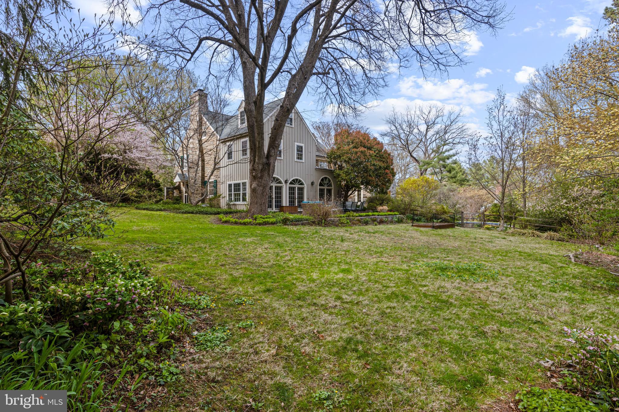 331 Fishers Road Bryn Mawr, PA 19010 - Photo 5 of 64 a tall tree in middle of green field