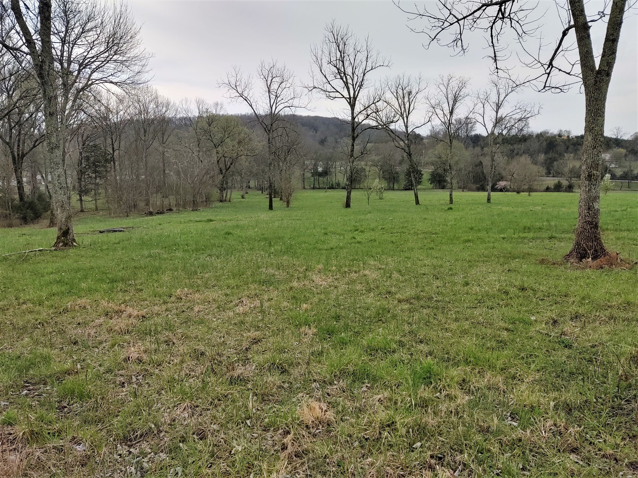 0 Eastover Road Watertown, TN 37184 - Photo 8 of 13 Gallery Image 8