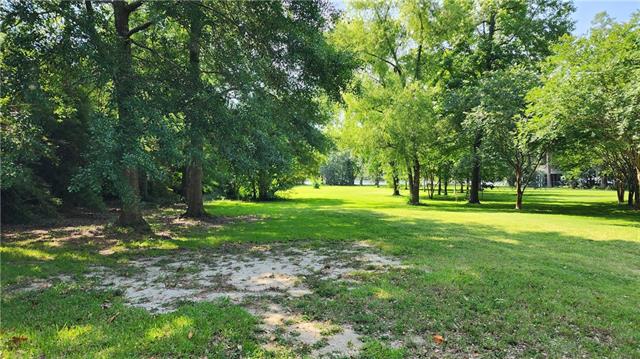 A Deloaks Road Madisonville, LA 70447 - Photo 2 of 24
