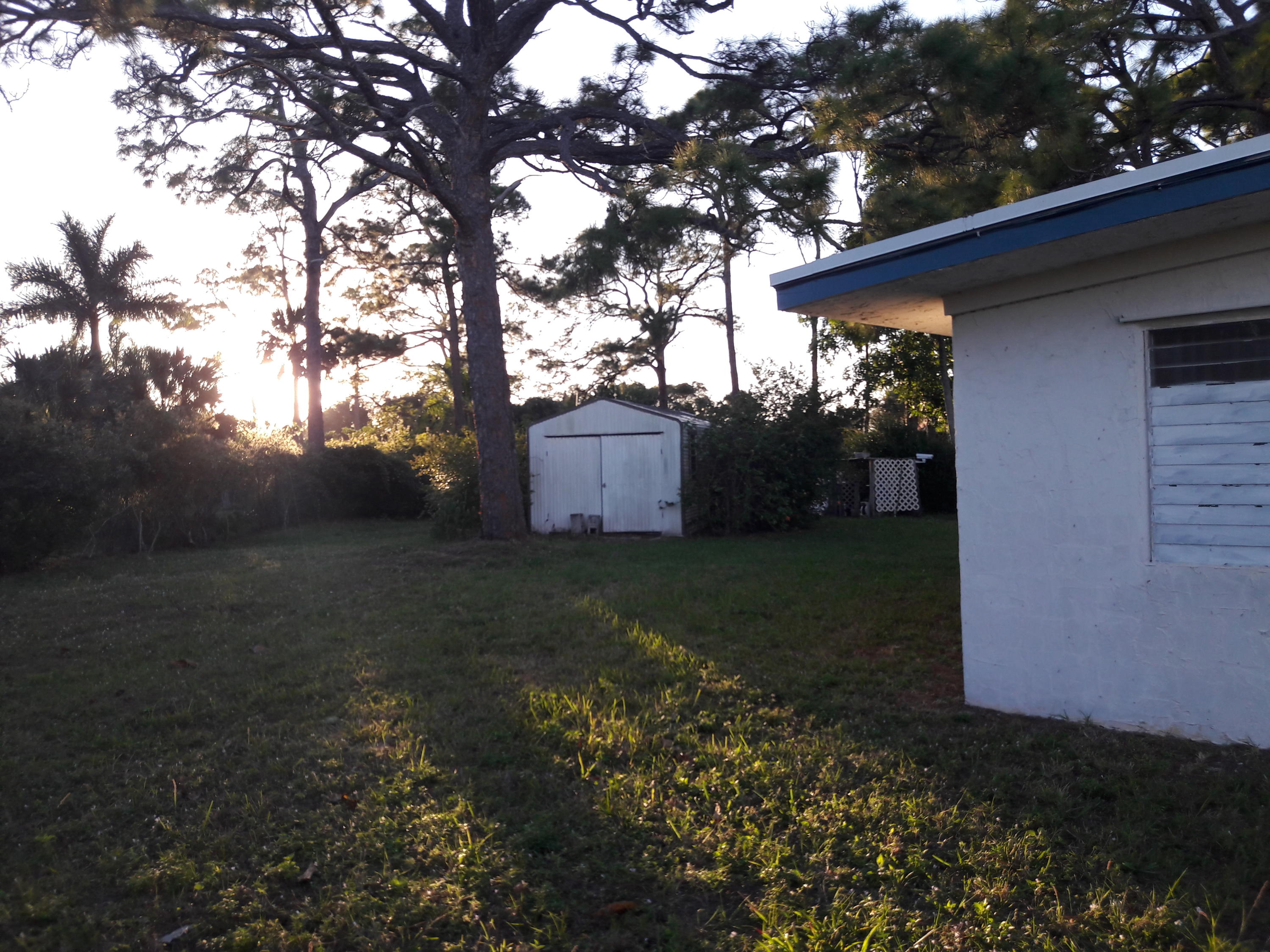 5280 Steiner Road Boynton Beach, FL 33437 - Photo 3 of 3 YARD