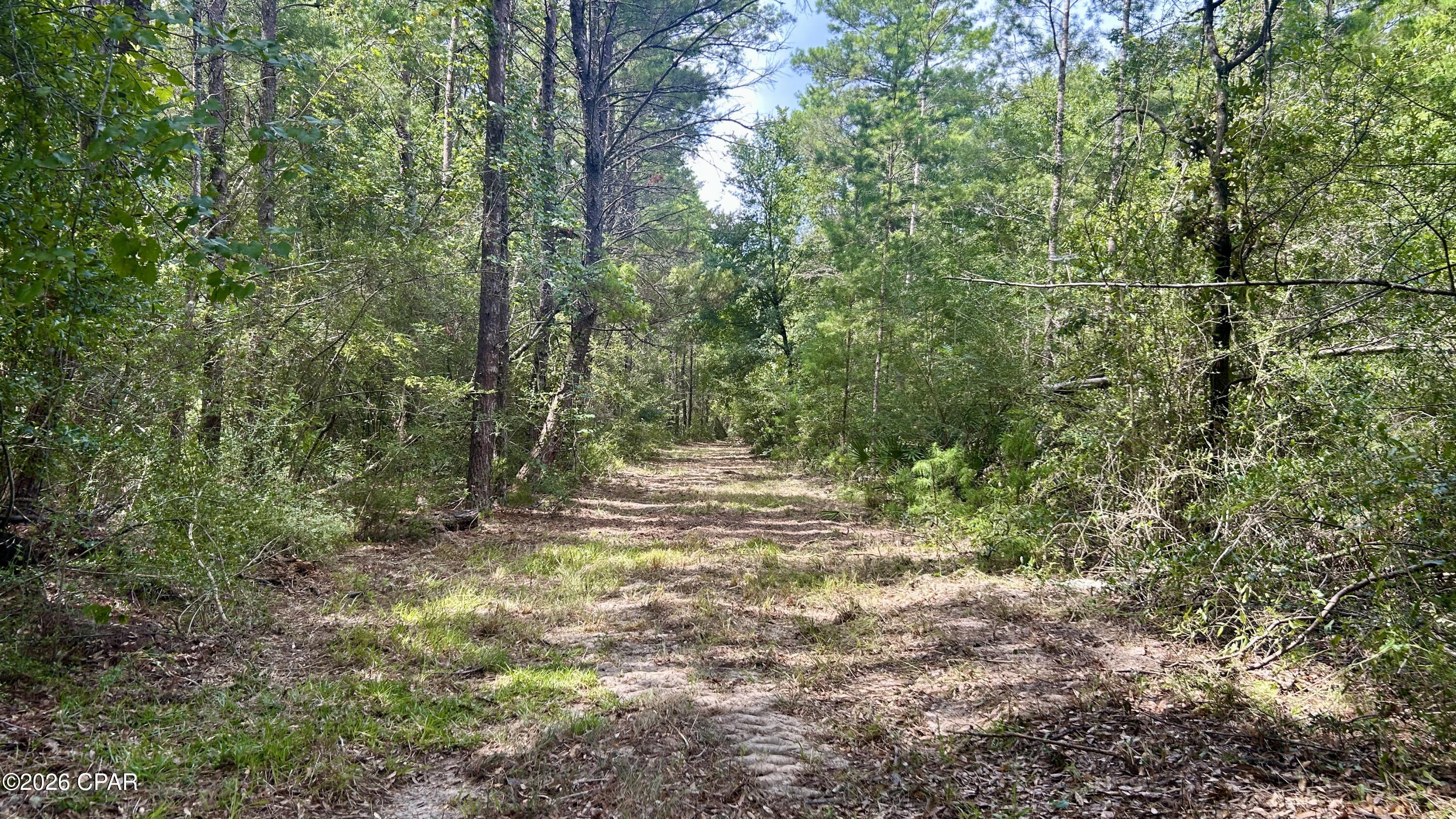 A Trawick Creek Road Holt, FL 32564 - Photo 5 of 33 Gallery Image 5