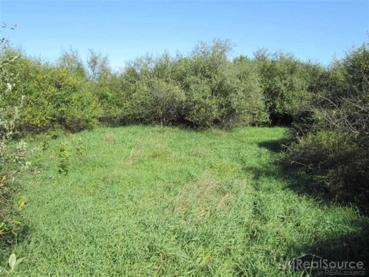 65338 Dequindre Road Washington, MI 48095 - Photo 16 of 28