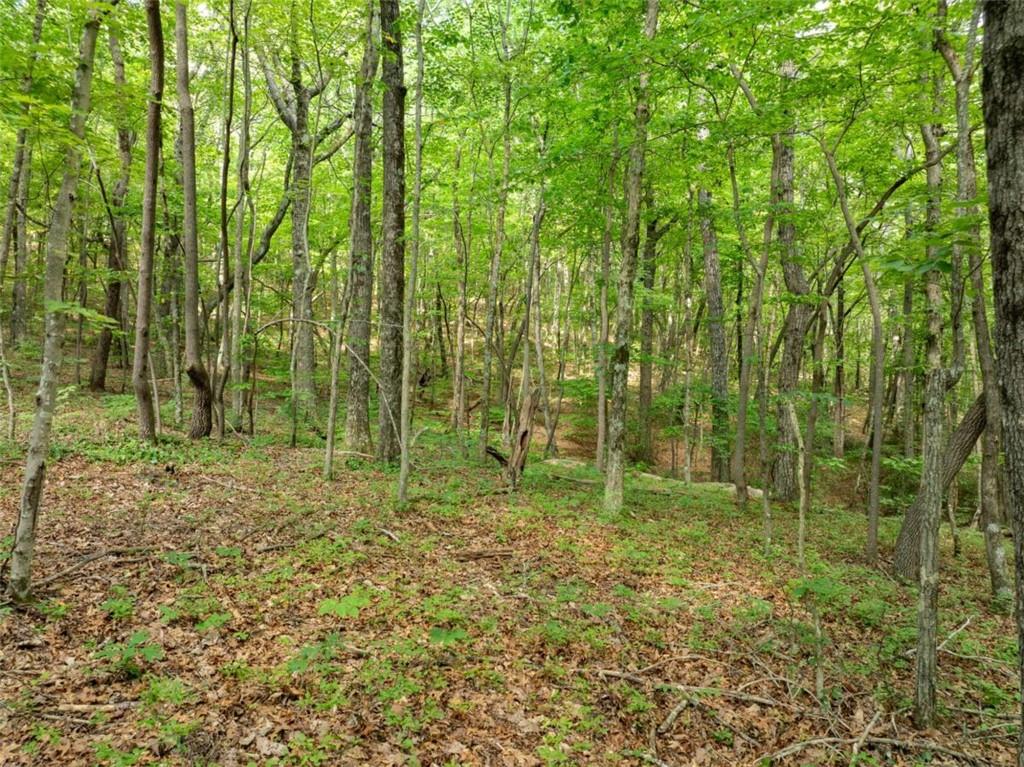 1298 Cold Stream Trail Jasper, GA 30143 - Photo 29 of 57