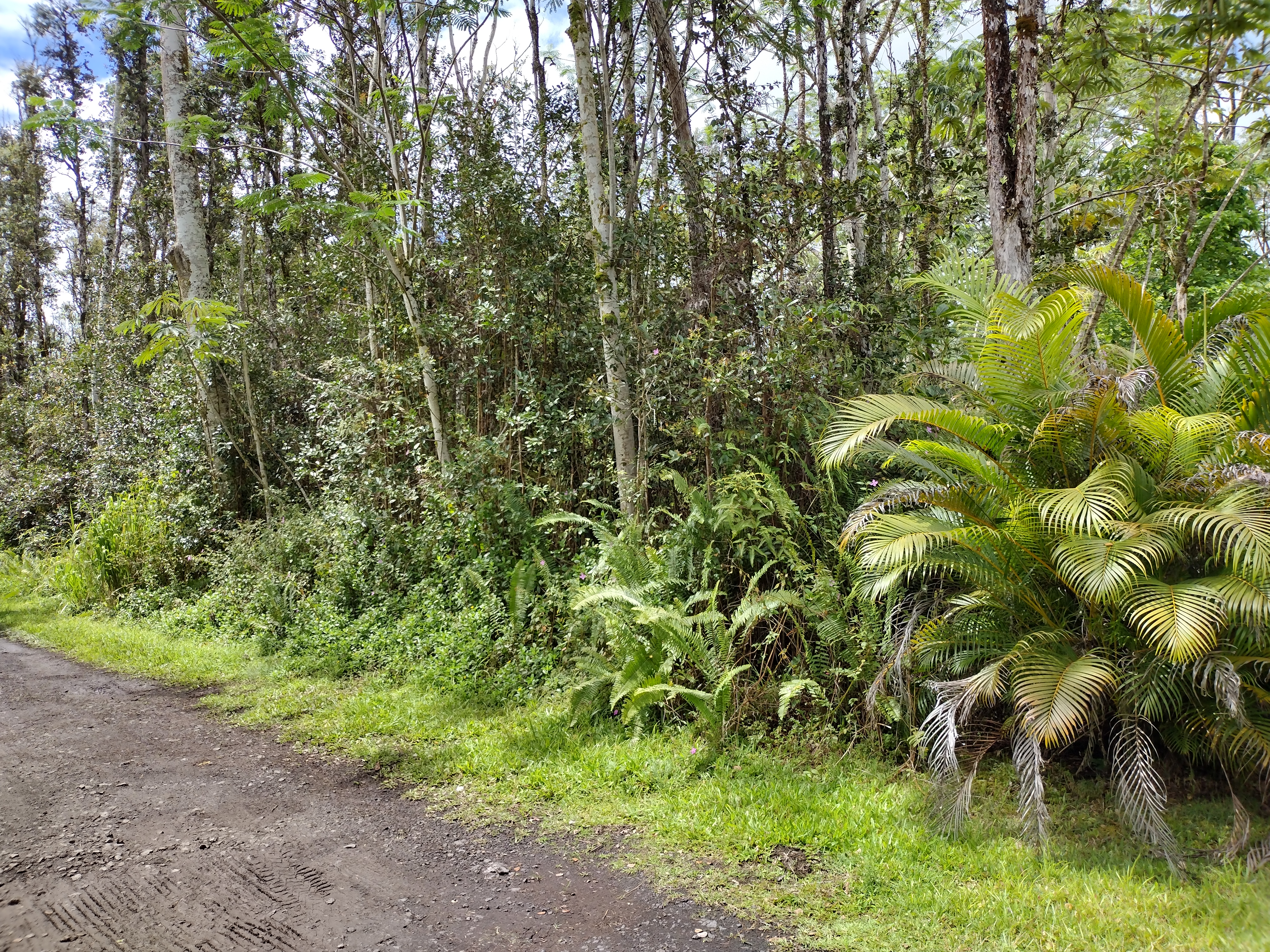 734 Hilo Road, Unit 1 Pahoa, HI 96778 - Photo 1 of 2 Gallery Image 1
