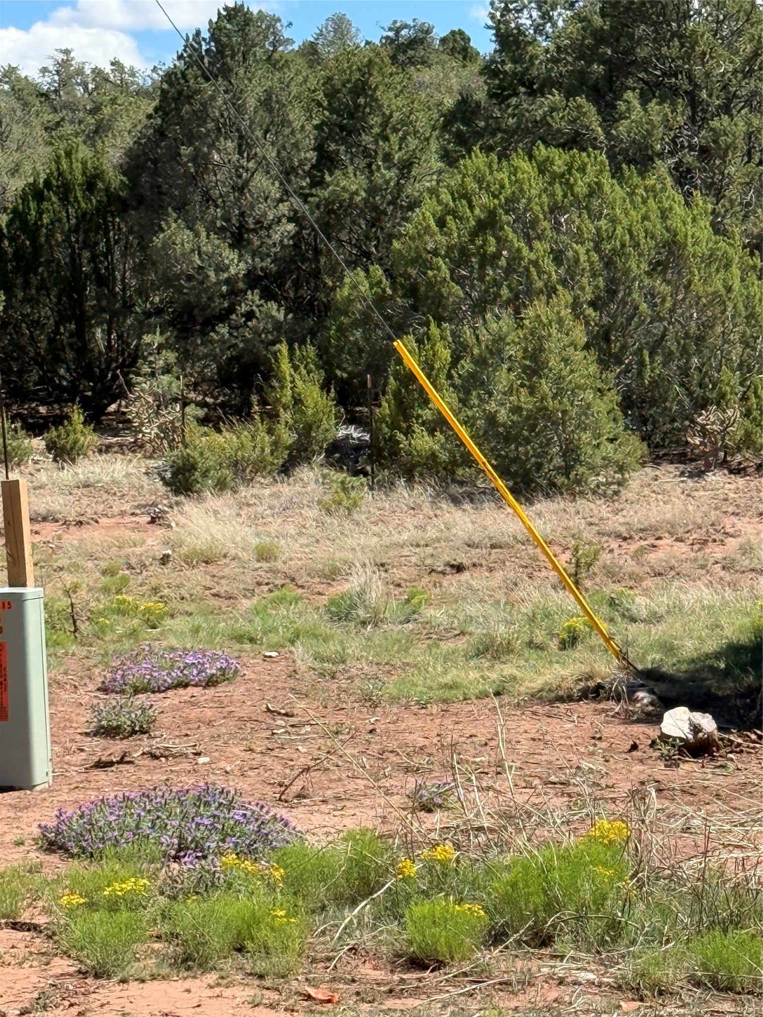 174 Hidden Valley Ranch Road Ilfeld, NM 87538 - Photo 4 of 30 Telephone pedestal and native flowers