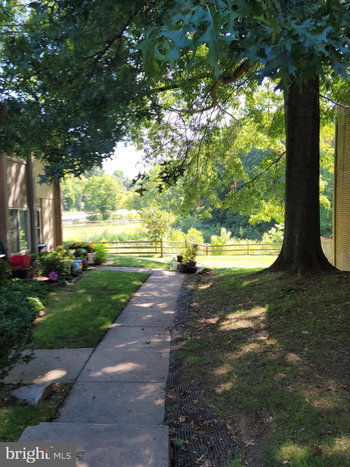 view of pond