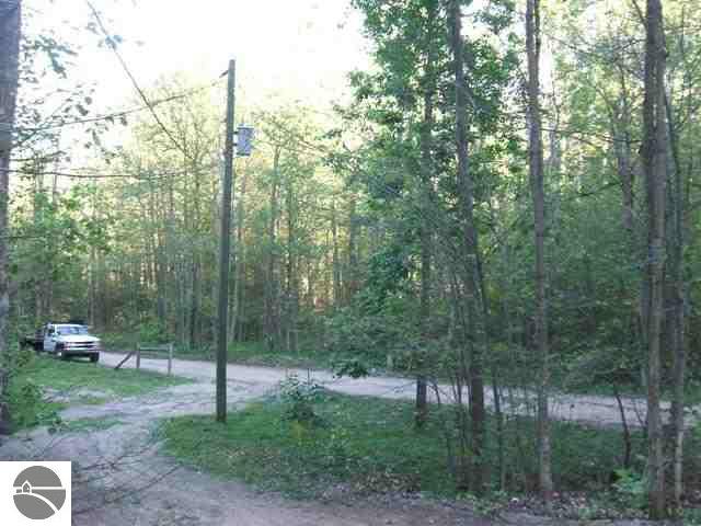 11260 Crawford Road Ellsworth, MI 49729 - Photo 9 of 11 1717710-8.JPG