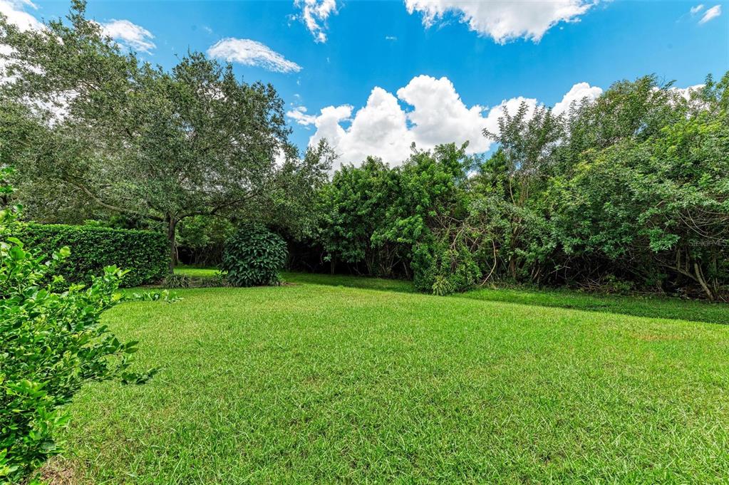 337 Snapdragon Loop Bradenton, FL 34212 - Photo 33 of 54 a view of a green yard