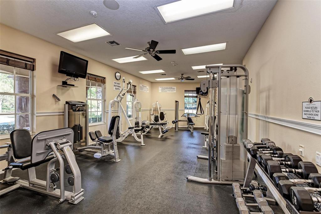 337 Snapdragon Loop Bradenton, FL 34212 - Photo 52 of 54 a view of a room with gym equipment