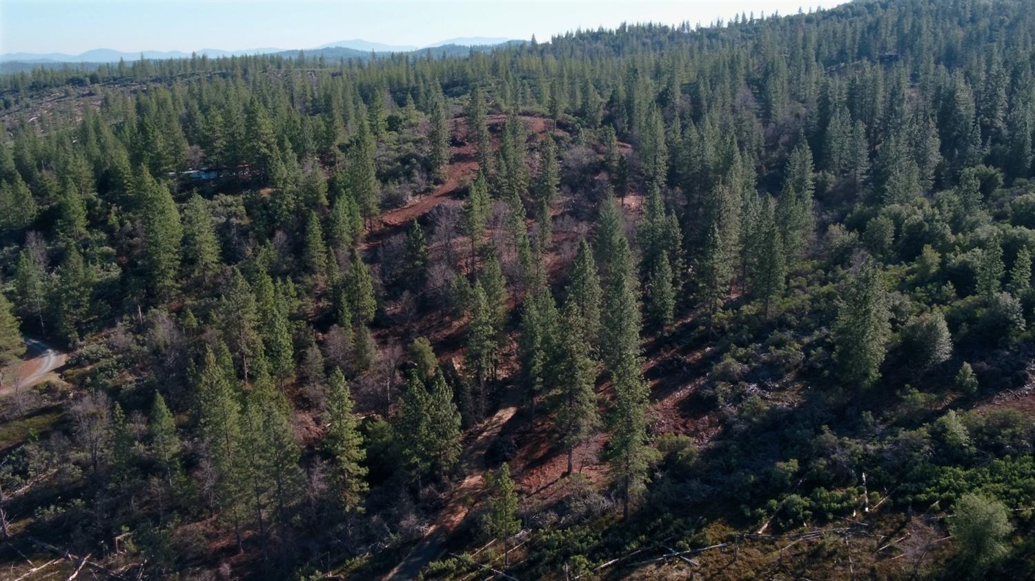 11126 Jordan Creek Road Groveland, CA 95321 - Photo 8 of 9