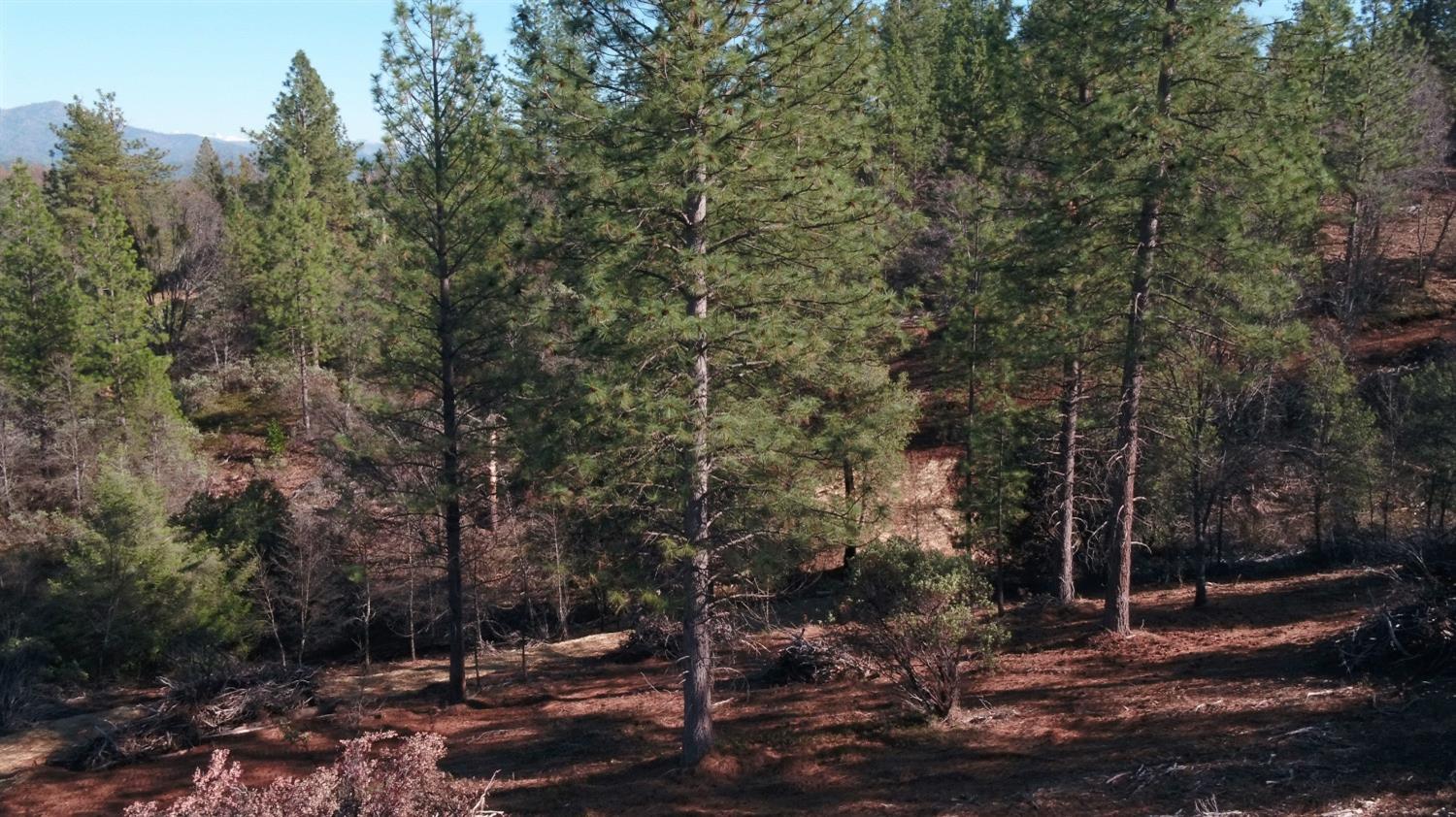 11126 Jordan Creek Road Groveland, CA 95321 - Photo 9 of 9