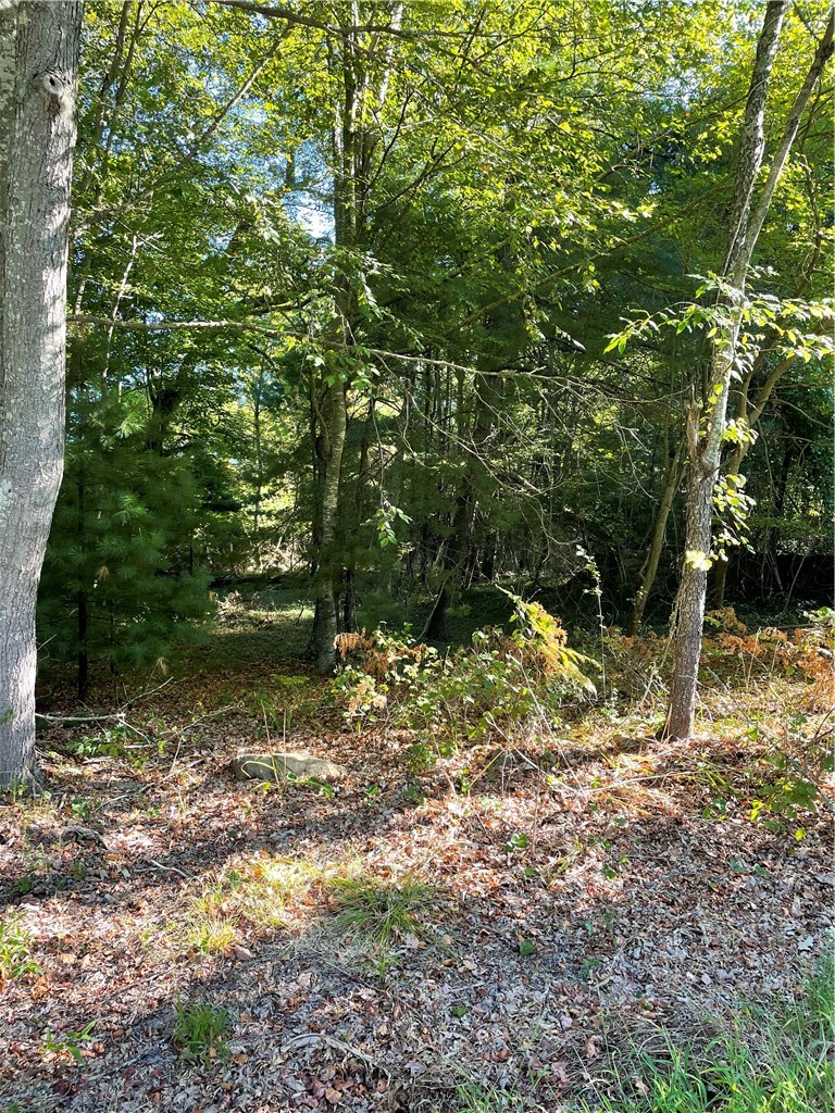 0 Carolina Back Road Charlestown, RI 02813 - Photo 2 of 5