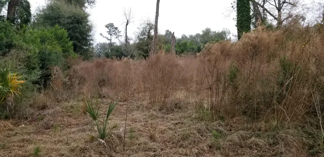 $30,000 | 812 North Lemacks Street, Walterboro, SC 29488