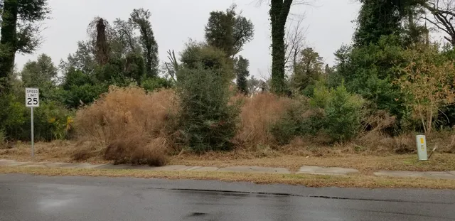 $30,000 | 812 North Lemacks Street, Walterboro, SC 29488