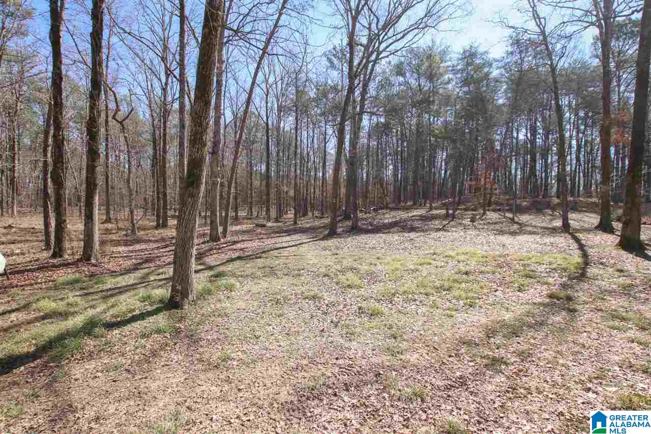 12801 Davis Creek Road McCalla, AL 35111 - Photo 48 of 49