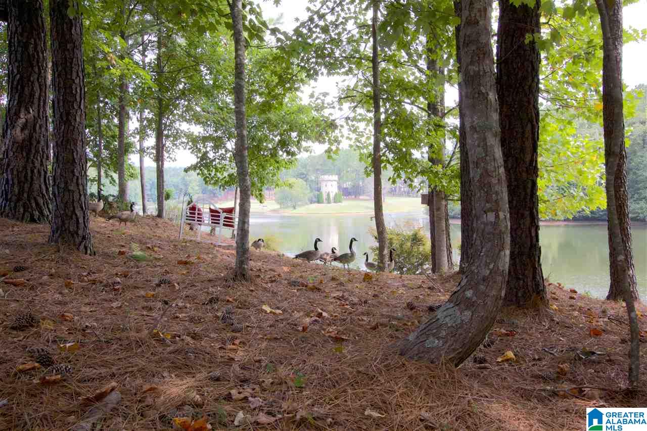 100 Kilberry Way Pelham, AL 35124 - Photo 44 of 50