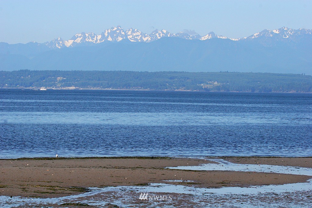 816 Old Beach Road, Unit 101 Freeland, WA 98249 - Photo 7 of 25 Gallery Image 7