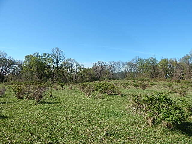 561 West Leonard Road Leonard, MI 48367 - Photo 13 of 36 DSCN1215