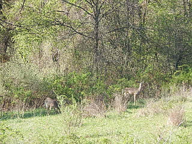561 West Leonard Road Leonard, MI 48367 - Photo 14 of 36 DSCN1216