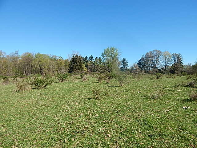 561 West Leonard Road Leonard, MI 48367 - Photo 15 of 36 DSCN1217