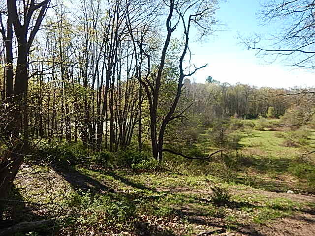 561 West Leonard Road Leonard, MI 48367 - Photo 16 of 36 DSCN1218