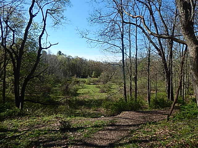 561 West Leonard Road Leonard, MI 48367 - Photo 17 of 36 DSCN1219