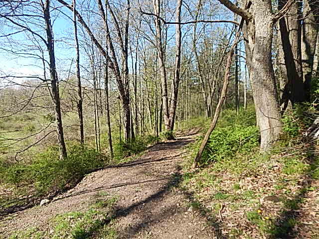 561 West Leonard Road Leonard, MI 48367 - Photo 18 of 36 DSCN1220