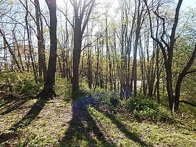 561 West Leonard Road Leonard, MI 48367 - Photo 19 of 36 DSCN1221