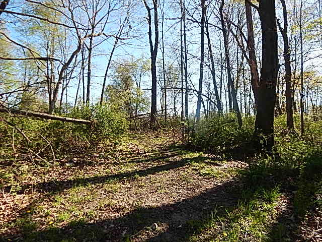 561 West Leonard Road Leonard, MI 48367 - Photo 20 of 36 DSCN1222