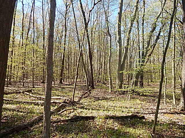 561 West Leonard Road Leonard, MI 48367 - Photo 27 of 36 DSCN1229