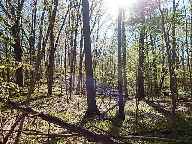 561 West Leonard Road Leonard, MI 48367 - Photo 28 of 36 DSCN1230