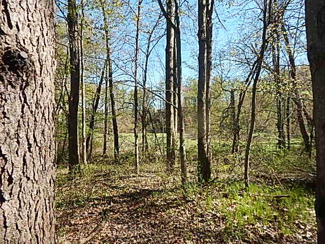 561 West Leonard Road Leonard, MI 48367 - Photo 29 of 36 DSCN1231