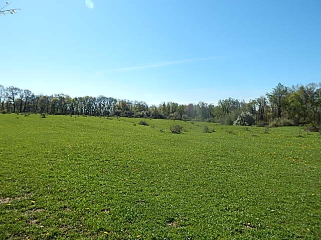 561 West Leonard Road Leonard, MI 48367 - Photo 35 of 36 DSCN1237