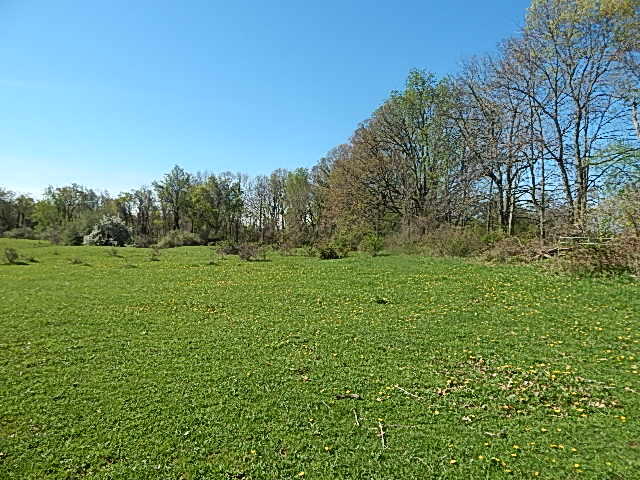 561 West Leonard Road Leonard, MI 48367 - Photo 36 of 36 DSCN1238