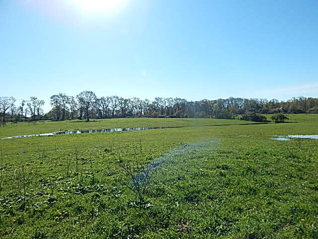 561 West Leonard Road Leonard, MI 48367 - Photo 4 of 36 DSCN1206