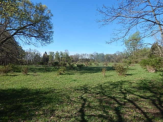 561 West Leonard Road Leonard, MI 48367 - Photo 6 of 36 DSCN1208