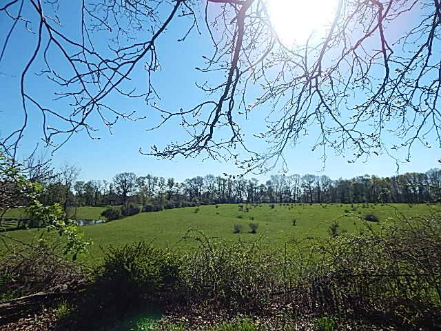 561 West Leonard Road Leonard, MI 48367 - Photo 7 of 36 DSCN1209