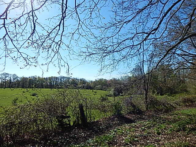 561 West Leonard Road Leonard, MI 48367 - Photo 8 of 36 DSCN1210