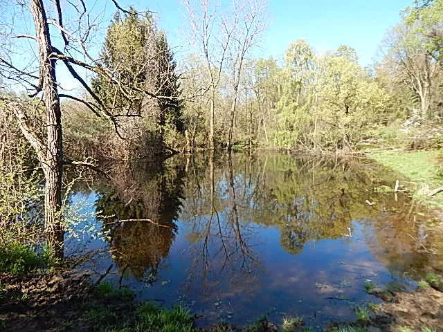 $899,000 | 561 West Leonard Road, Leonard, MI 48367