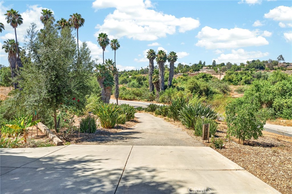 15091 Golden Star Avenue Riverside, CA 92506 - Photo 52 of 55